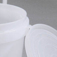 JEJアステージ ASTAGE1 蓋付バケツ #5 ナチュラル #621201 1個