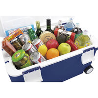 JEJアステージ ASTAGE フォレスクルー#45 Dブルー #620487 1個