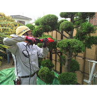 アルス DKC-0025-R 造園バリカンカルゼ コンパクト　1台 アルスコーポレーション（直送品）