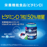 リカルデント ビタミンDプラス ヨーグルトベリーミントボトルR 132g 6個 モンデリーズ・ジャパン ガム