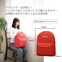 防災リュック スカイブルー 20L エマージェンシー 単品 防災用品 避難 バックパック 軽量（直送品）