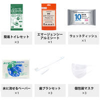 ピースアップ 30点防災セット (リュック:ブラック) set10001476BK 1セット