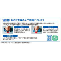 アーユル・チェアージャパン 体圧分散マットbySORBO 30310 1セット(2個)（直送品）