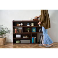 アイリスオーヤマ 棚 伸縮 ディスプレイ 収納 幅83~139×高さ80×奥行24cm ウッドスライドラック WSLR-800 ウォールナット 1台（直送品）