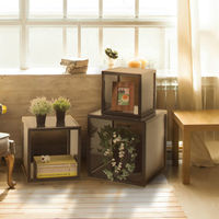 【販促用品】ファースト クロリー ディスプレイボックス CB-30　1台（直送品）