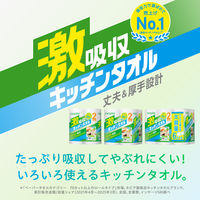 キッチンペーパー nepia（ネピア）激吸収キッチンタオル 100カット×4ロール 王子ネピア