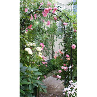 第一ビニール フラワーアーチ ブラック 120cm 4968438017778 1個