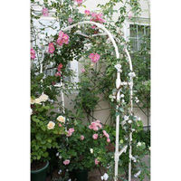 第一ビニール フラワーアーチ ホワイト 120cm 4968438018867 1個