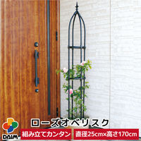 第一ビニール 組立かんたんローズオベリスク170cm 4968438020396 1個