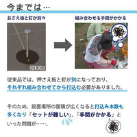 第一ビニール 防草シート押さえ楽釘10本入15cm 4968438023403 1個（直送品）