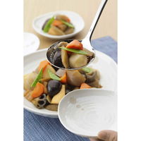 下村企販 穴あきお玉 ママクック カス揚げ ステンレス 305047 1個