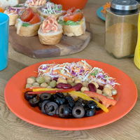 ダルトン プレート 20cm M&B プラスチック バンブーファイバー オレンジ 328888 1個（直送品）