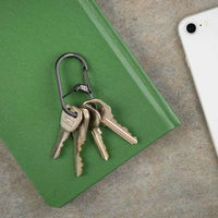 Nite Ize カラビナ G型 カラビナー ＃2 幅2.6×高さ6cm ブラック 386684 1個（直送品）