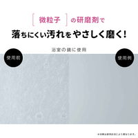アイメディア お風呂洗剤 100g 業務用 浴室クレンザー 392368 1個（直送品）