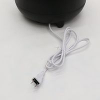 イトウ 黒にんにくメーカーmini TZ-1200 1セット（4台）（直送品）