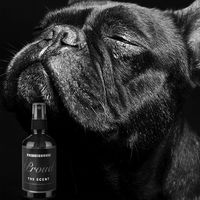 アントレックス PRIDE+GROOMペットセント スプレー 120ml 850017452053 1個（直送品）