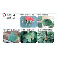 ニッソーグリーン 農薬 トップジンM水和剤 100g 2057806 1袋（直送品）