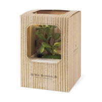 キシマ KH-61065 和盆栽 カネノナルキ 1鉢（直送品）