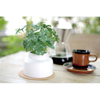 キシマ エクリア 消臭アーティフィシャルグリーン KH-61251 1個