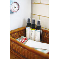 キシマ KNT88097 抗菌ウイルスマスクスプレー ミント 1本（直送品）