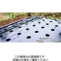 藤原産業 セフティー3 楽々ステンマルチ穴あけ 120mm 1個（直送品）