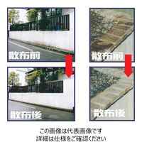 アルタン 屋外のコケ・カビ除去用 アウトドアクリーナー 5L 0040235751285 1本（直送品）