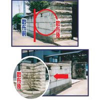 アルタン 屋外のコケ・カビ除去用 アウトドアクリーナー 2L 9416716096038 1本（直送品）