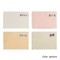 家庭化学工業 室内壁 簡単しっくい ワカクサ 2.8Kg 4905488601168 1セット(2個)（直送品）