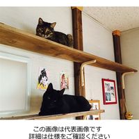 和気産業 敷くだけ簡単 洗える階段カーペット ベージュ 45×22mm 15枚 WK001 1セット(15枚)（直送品）