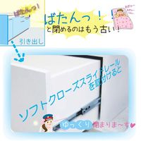 和気産業 ソフトクローズ スライドレール 500mm 2本 WS450D 1セット(2本)（直送品）