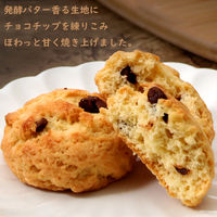 土井製菓 チョコチップスコーン 1袋