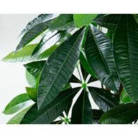 YAMAZEN SIMPLANTS フェイクグリーン FG-PACHI120 1個（直送品）