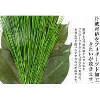 A&K プレミアムプリザーブド荒神松S（1束） 4573493480964 1個（直送品）