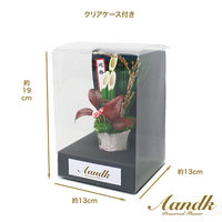 A&K 宝寿 4573493483439 1個（直送品）