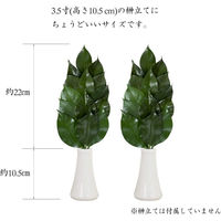 A&K プレミアムプリザーブド榊M(1対)(セット販売:5個) 4573493480926 1セット(5個)（直送品）