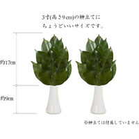 A&K プレミアムプリザーブド榊SV(ボリューム版1対)(セット販売:5個) 4573493480919 1セット(5個)（直送品）