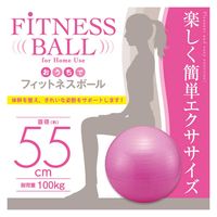 アイメディア バランスボール 55cm おうちでフィットネスボール 空気入れ付き 室内 運動 331328 1個（直送品）
