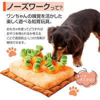 コモライフ ノーズワーク にんじん採れたよ 391551 1個入（直送品）