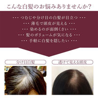 コモライフ ビューナ ポンでふんわり白髪隠しR1 ナチュラルブラック 391273 1個入（直送品）