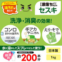 ナチュラルクリーニング 激落ちくん セスキ炭酸ソーダ 粉末タイプ 1kg 1セット（3個） レック
