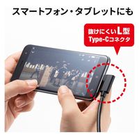 サンワサプライ USB3.2 A-TypeCロングケーブル(5m・VRヘッドセット対応) KB-USB-RLC305 1個