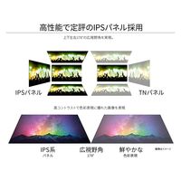 31.5インチ ワイド液晶ディスプレイ(3840x2160/IPS/HDMIx3/DP/スピーカー/チルト/非光沢) JN-IPS315UHDR 1個
