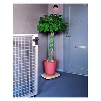 サンコープラスチック 平台車 L キャスター付き 家庭用 押入れ ラクゴロ 日本製 ベージュ 274285 1個