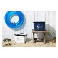 SANKA クーラーボックス ハードタイプ 両開き ミッキーマウス 12L UMI ホワイト 286836 1個（直送品）