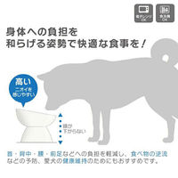 スケーター ペット用食器 小型犬用 陶器 オレンジ 381194 1個（直送品）