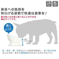 スケーター ペット用食器 短頭犬用 陶器 オレンジ 381198 1個（直送品）