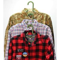 連結ハンガー　リーウェイ　フリーウェア2本組　グリーン 278928 1個 シンコハンガー（直送品）