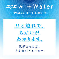 ティッシュペーパー 保湿 120組 エリエール +Water ソフトパックティッシュー 1パック（5個入）大王製紙