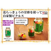 桃屋 桃屋の花らっきょう 115g×6個 4902880020276 1箱(6個)（直送品）