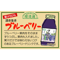 マルカイコーポレーション 順造選 ブルーベリー 180ml×20個 4993199100919 1箱(20個)（直送品）